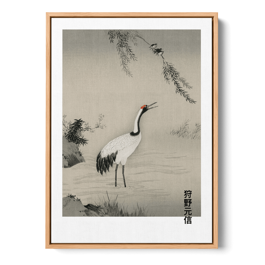 Japanese Crane In Water Canvas
