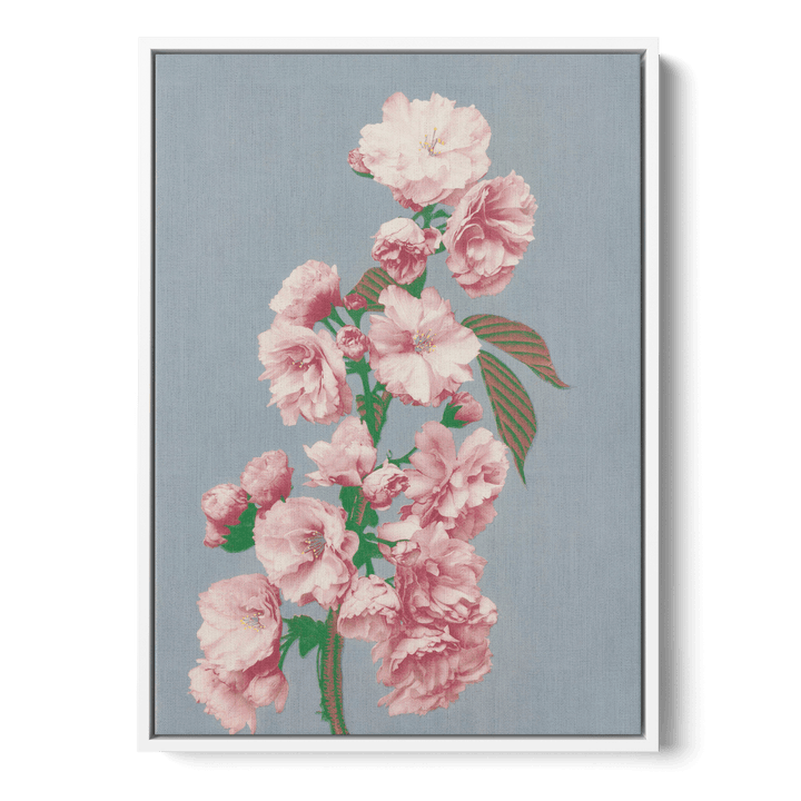 Ogawa Kazumasa - Cherry Blossom Canvas