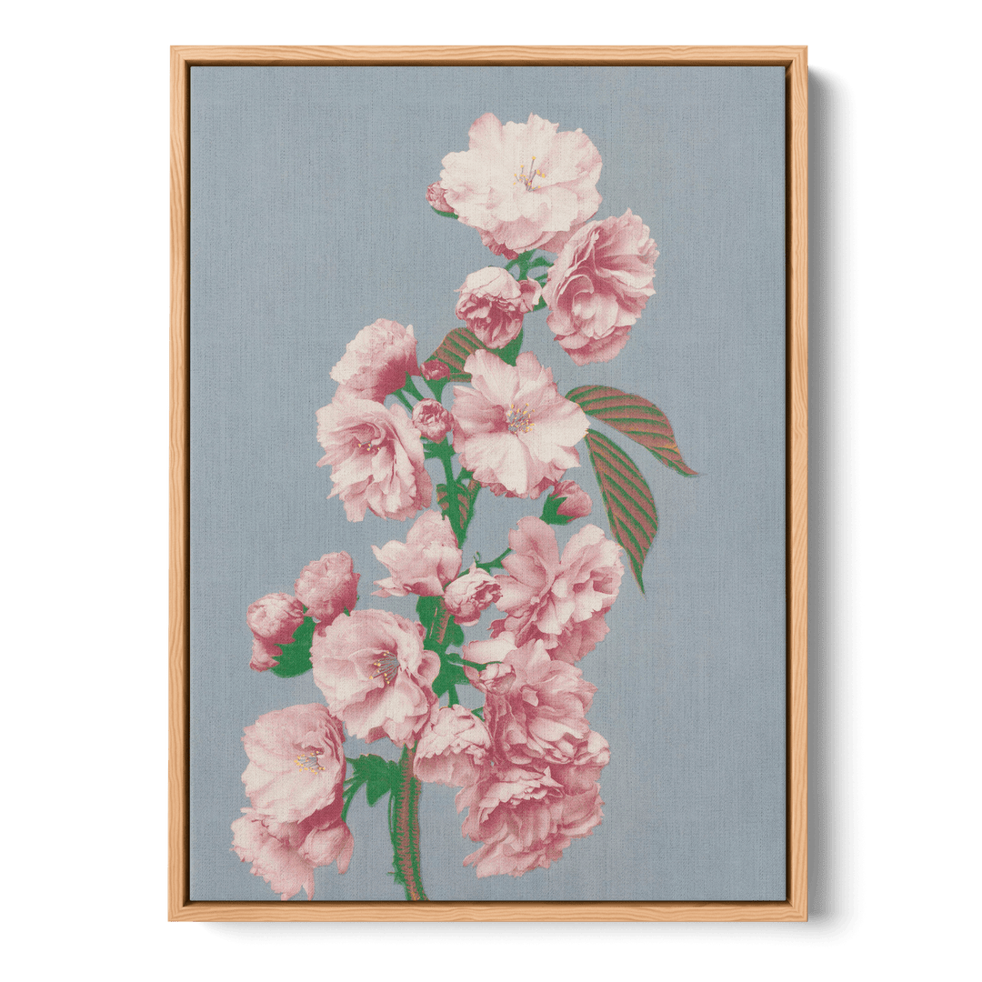 Ogawa Kazumasa - Cherry Blossom Canvas