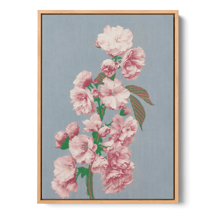 Ogawa Kazumasa - Cherry Blossom Canvas