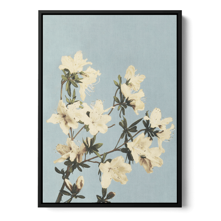 Ogawa Kazumasa - Japanese Azaleas Canvas
