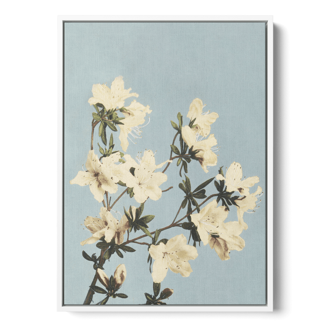 Ogawa Kazumasa - Japanese Azaleas Canvas