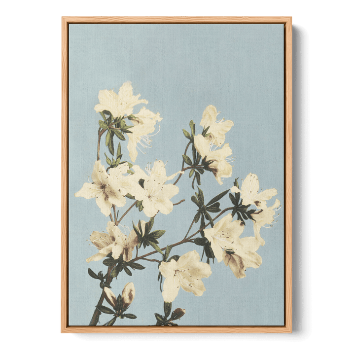 Ogawa Kazumasa - Japanese Azaleas Canvas