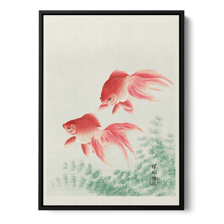 Ohara Koson - Two Goldfish Canvas