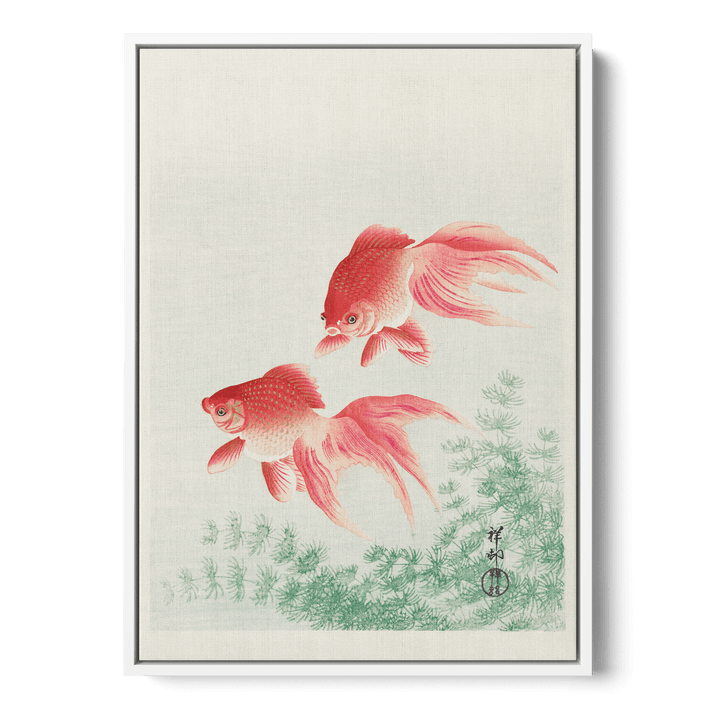 Ohara Koson - Two Goldfish Canvas