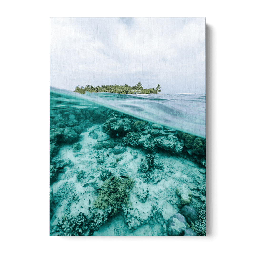 A Look Underwater Canvas