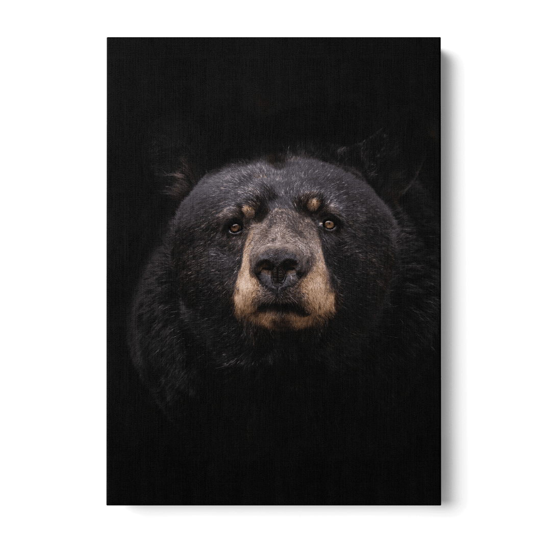 Black Bear Canvas