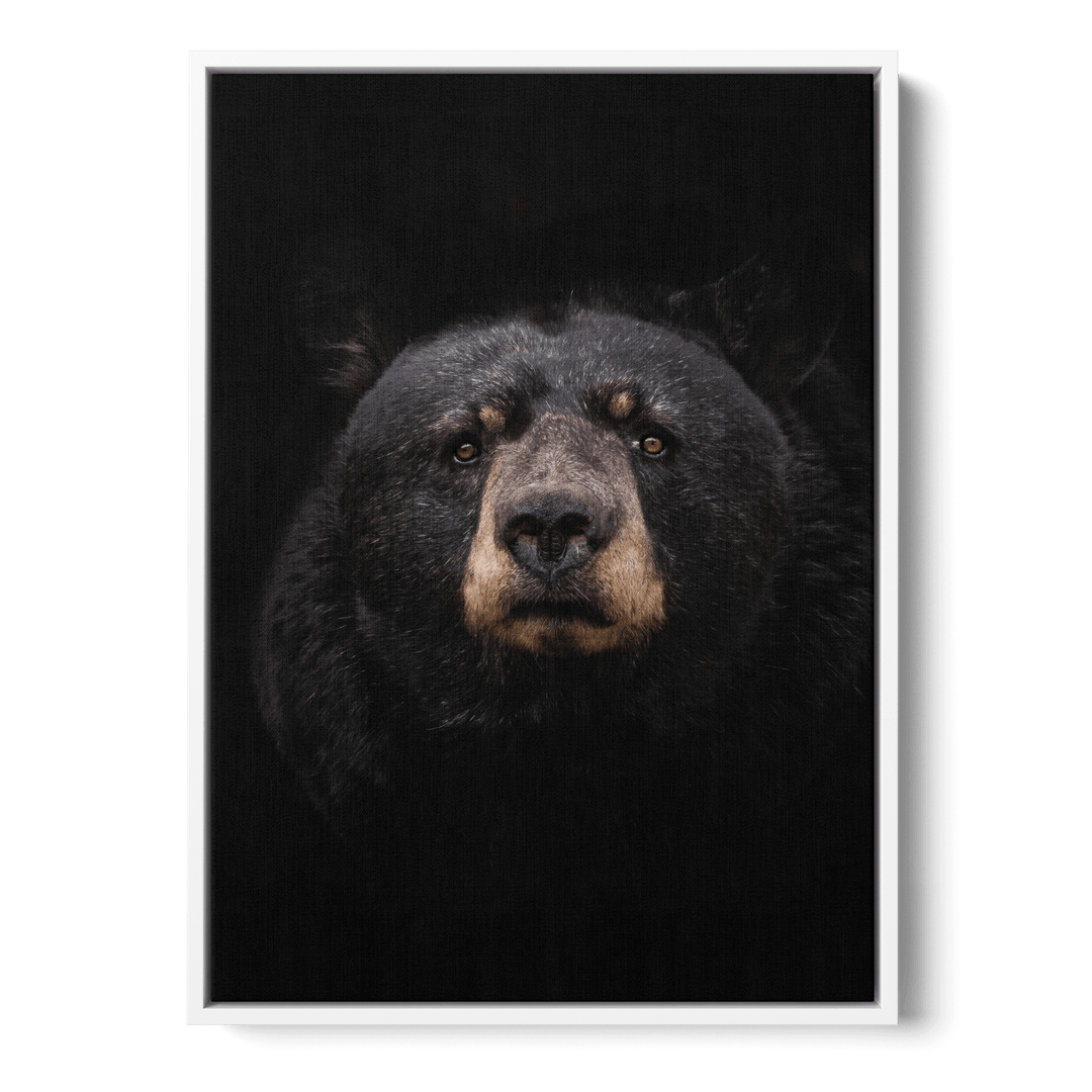 Black Bear Canvas