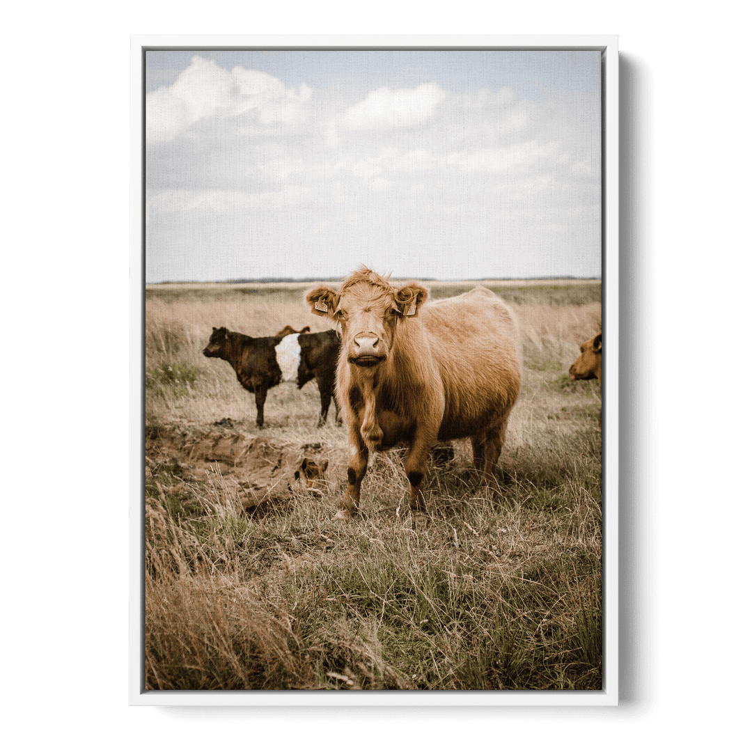 Cattle In The Field Canvas