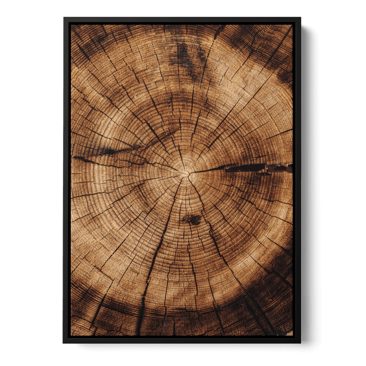 Close Up Of Tree Canvas