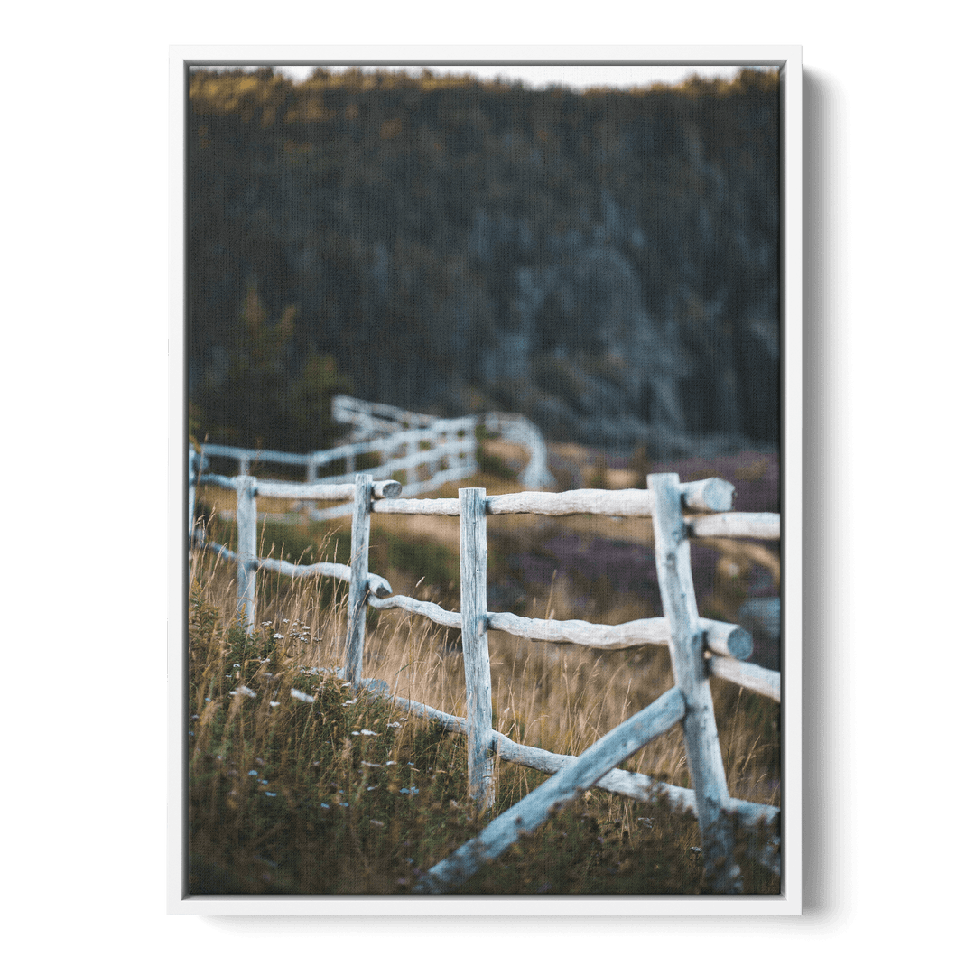 Fence In The Field Canvas