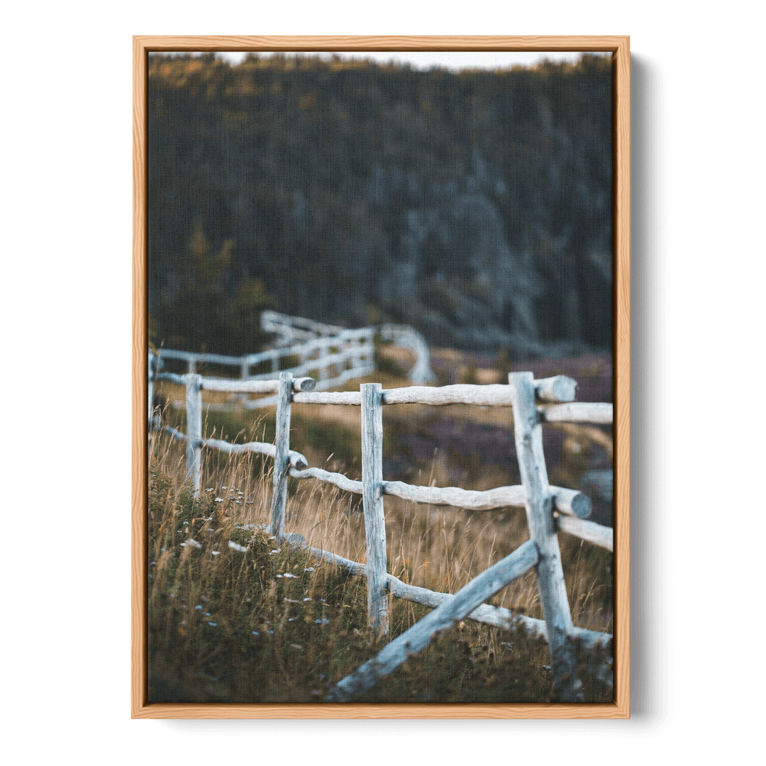 Fence In The Field Canvas