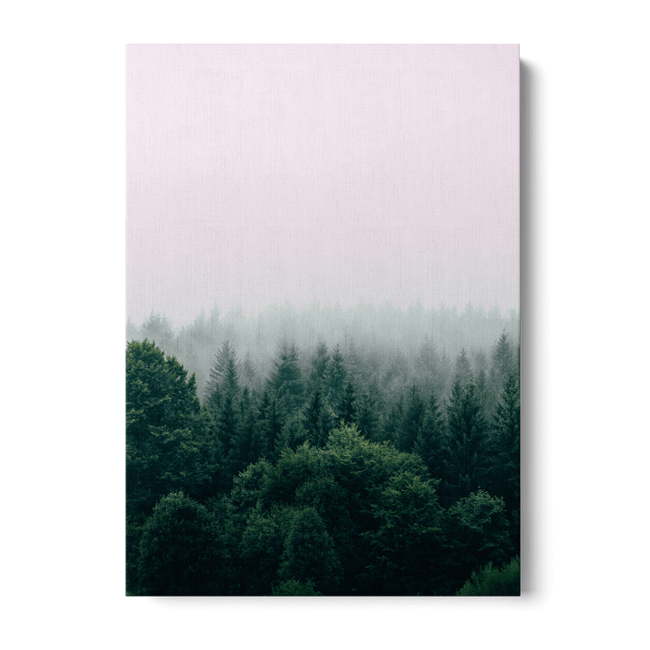 Fog Over The Forest Canvas