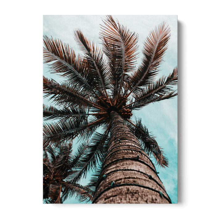Palm Tree Canvas