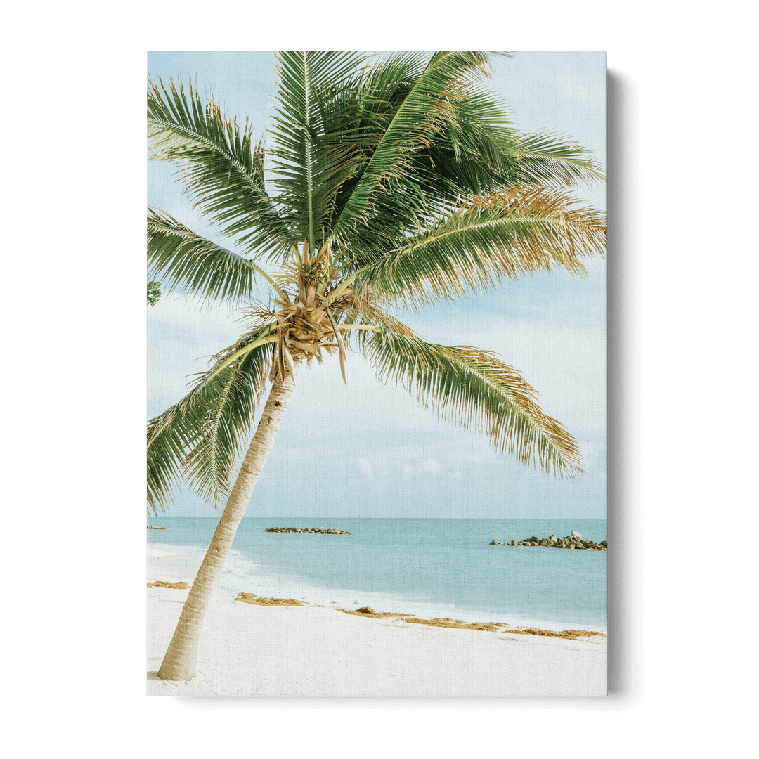 Palm Tree On The Beach Canvas
