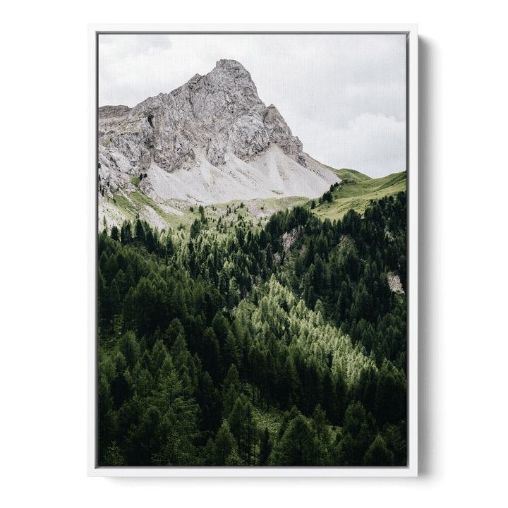 Pinetrees And Mountain Canvas
