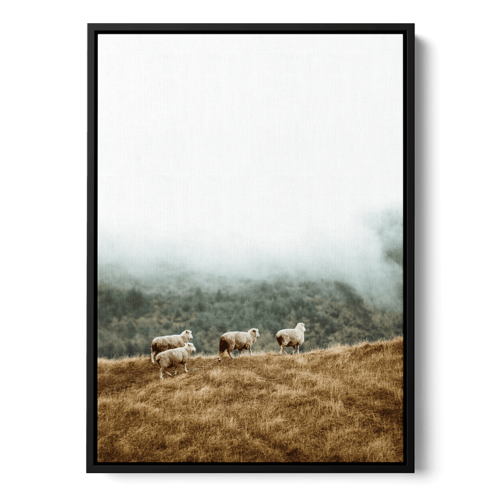 Sheep In The Meadow Canvas