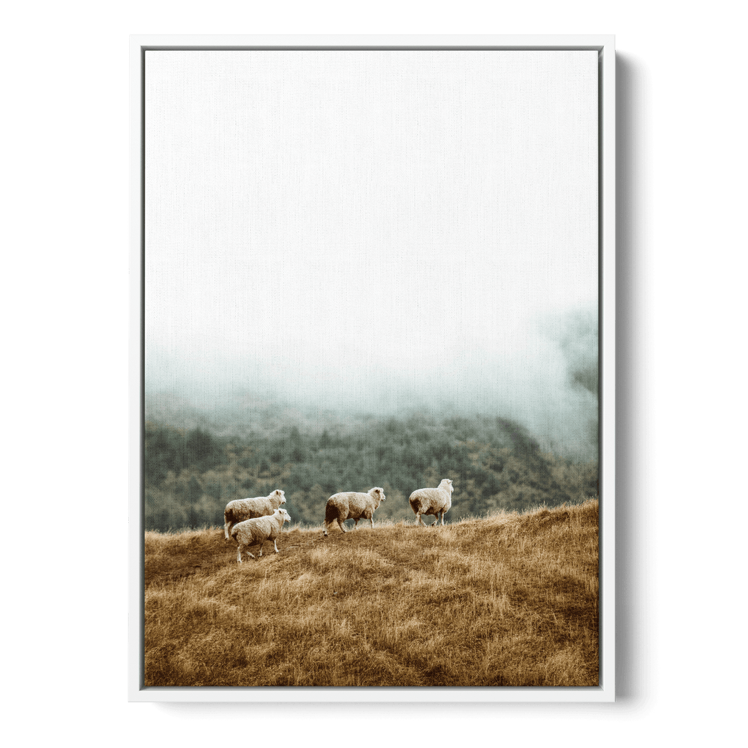 Sheep In The Meadow Canvas