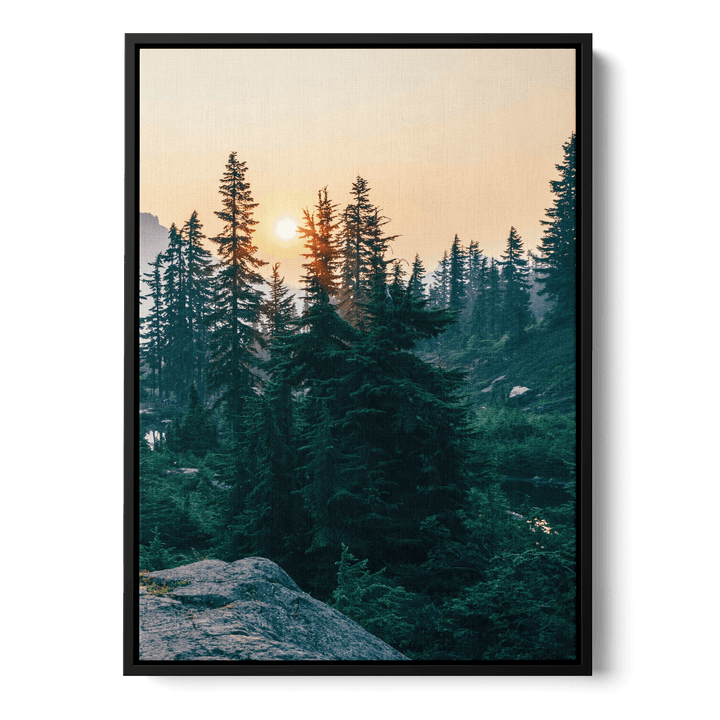 Sunshine In The Woods Canvas