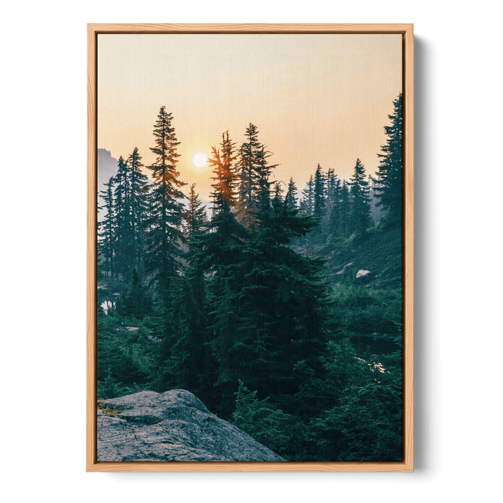 Sunshine In The Woods Canvas