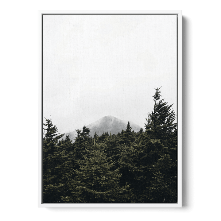 Top Of Pinetrees Canvas