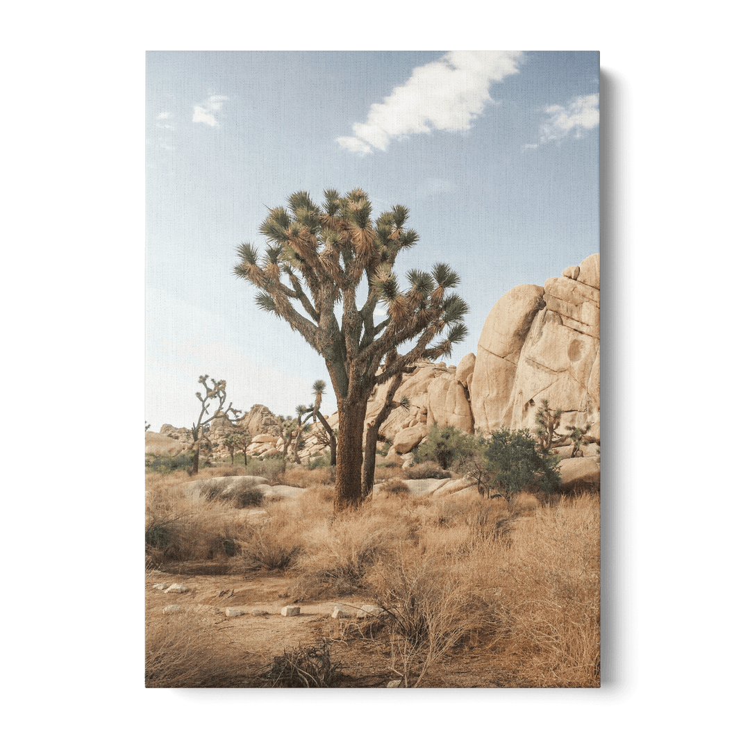 Tree In The Desert Canvas