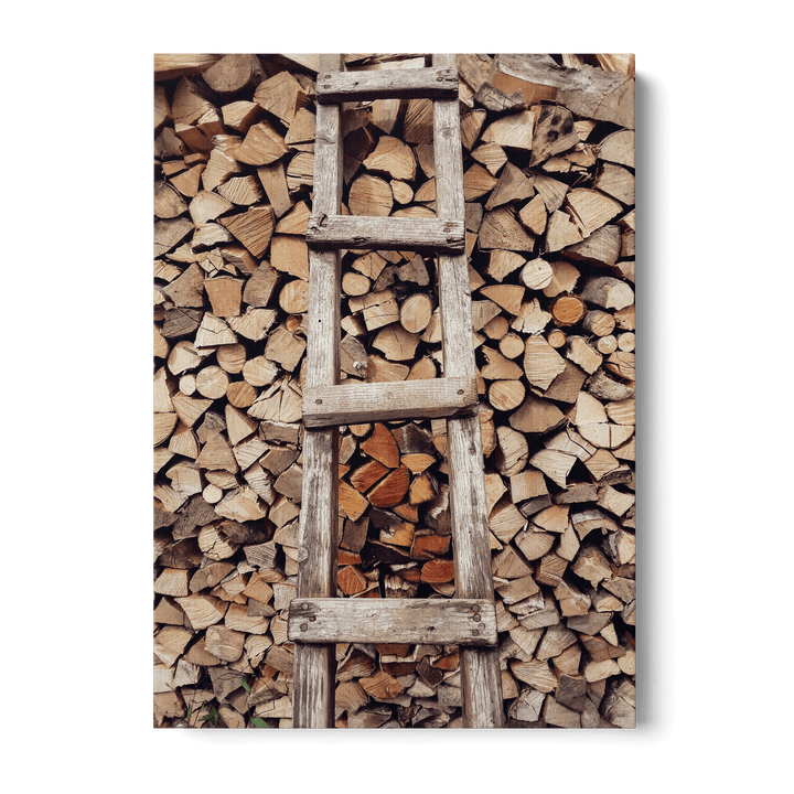 Tree Ladder Canvas