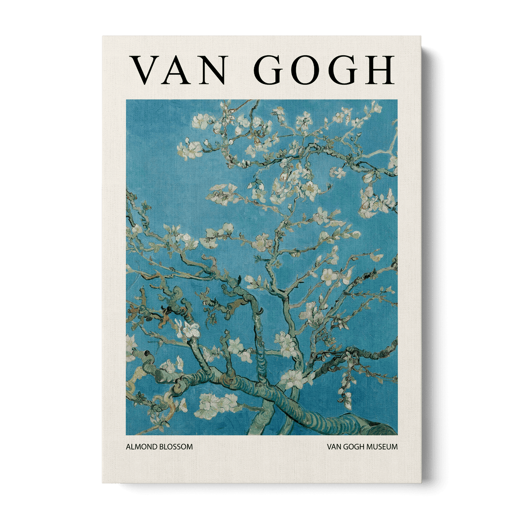 Almond Blossom Canvas