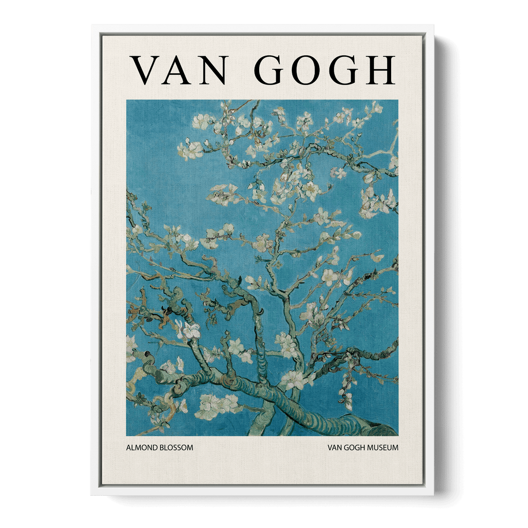 Almond Blossom Canvas