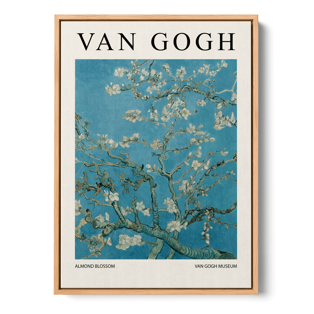 Almond Blossom Canvas