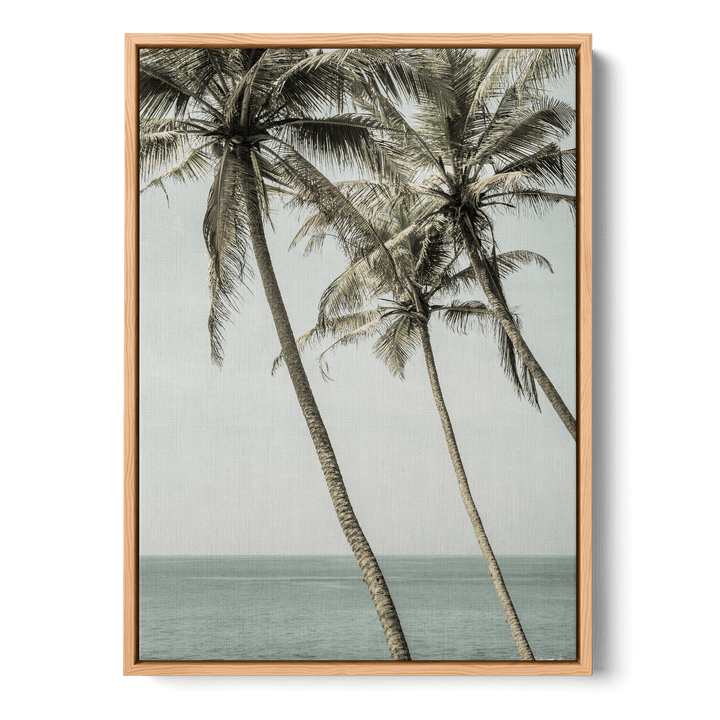 Sun Kissed Canvas