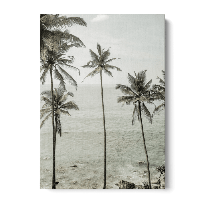 Tropical Dreams Canvas