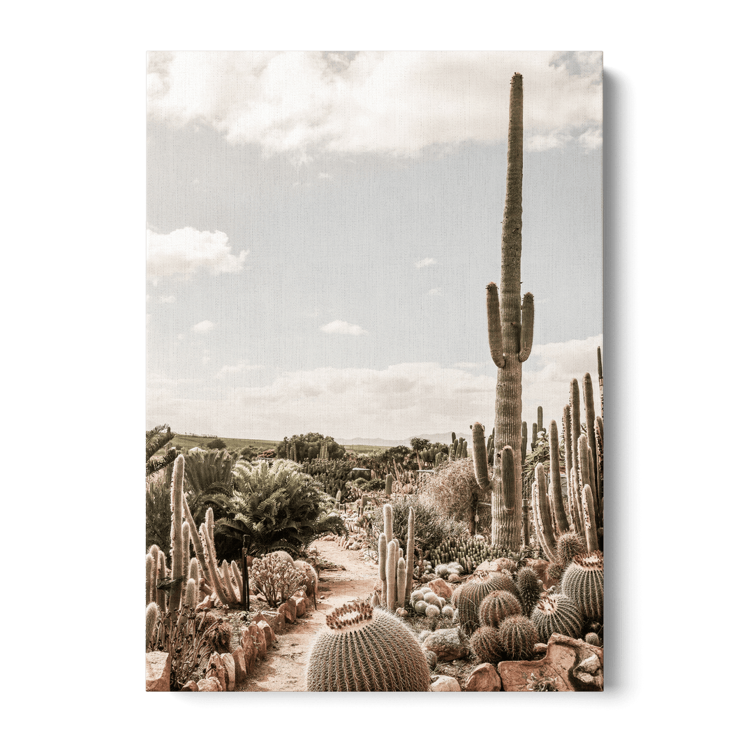 Cactus Farm Canvas