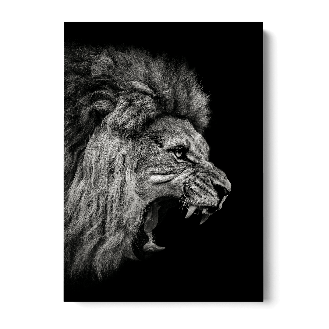 Roaring Lion Canvas