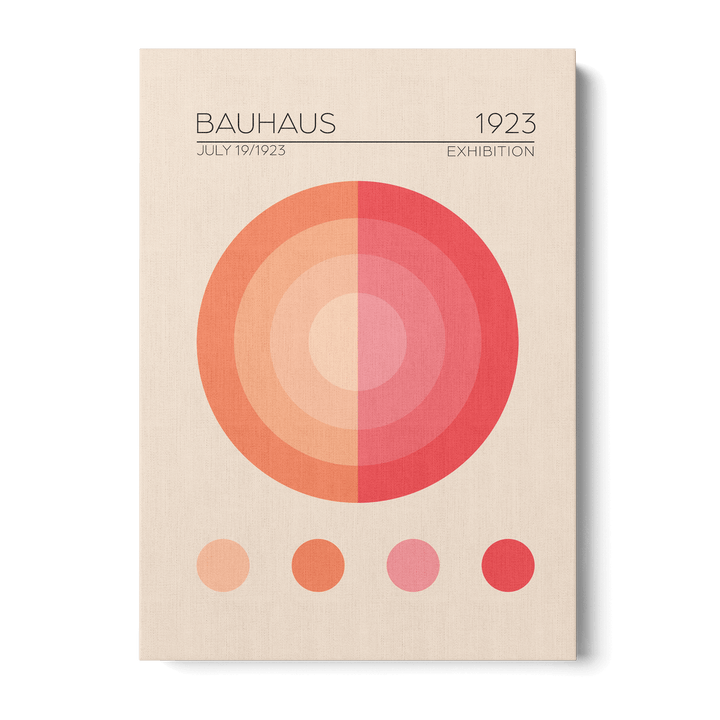 Bauhaus Pembe Daire Canvas