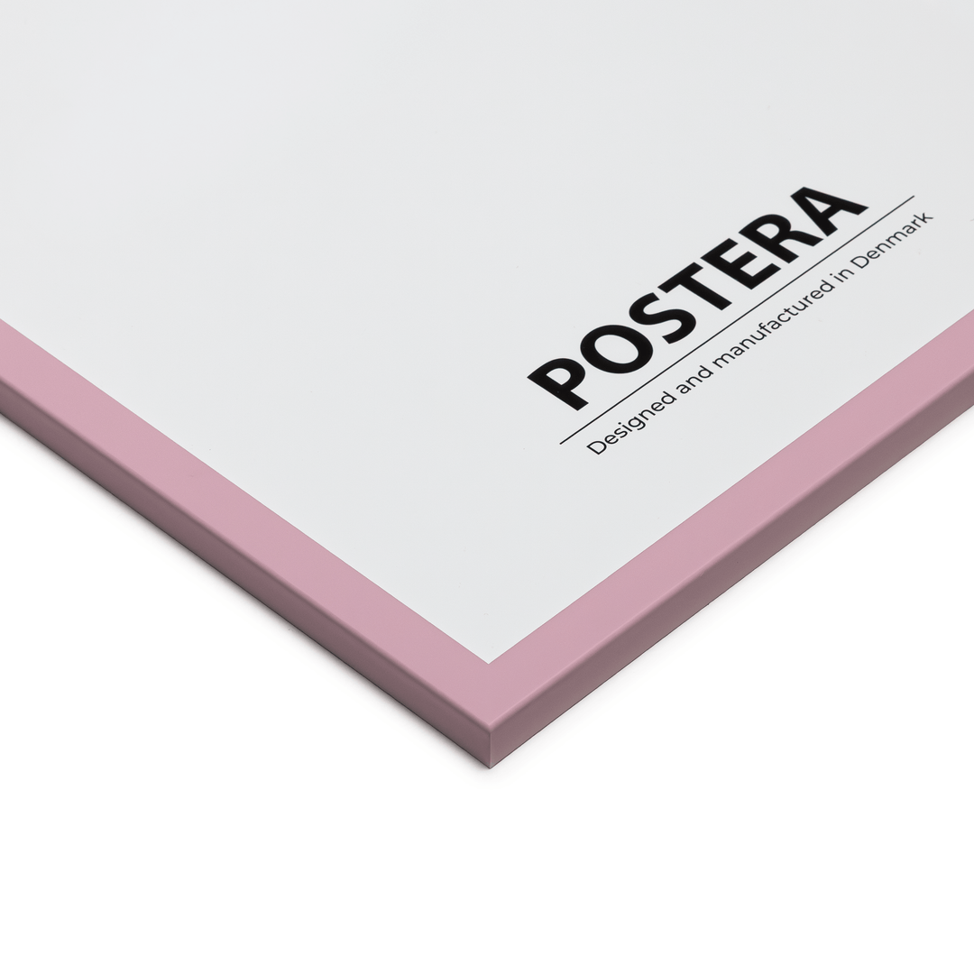 Gammelrosa ram - B2