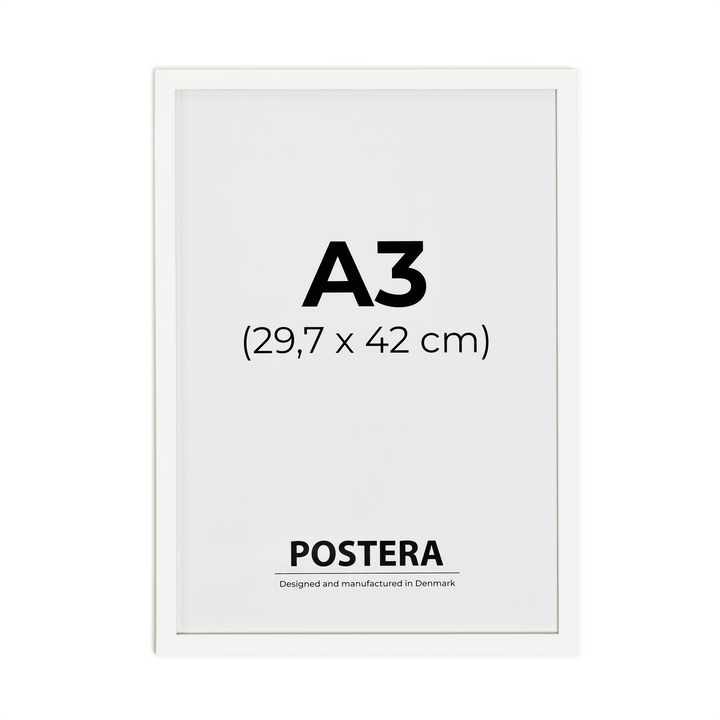 Vit ram - A3