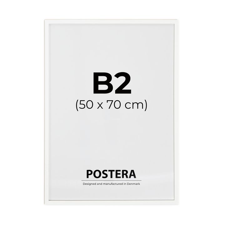 Vit ram - B2