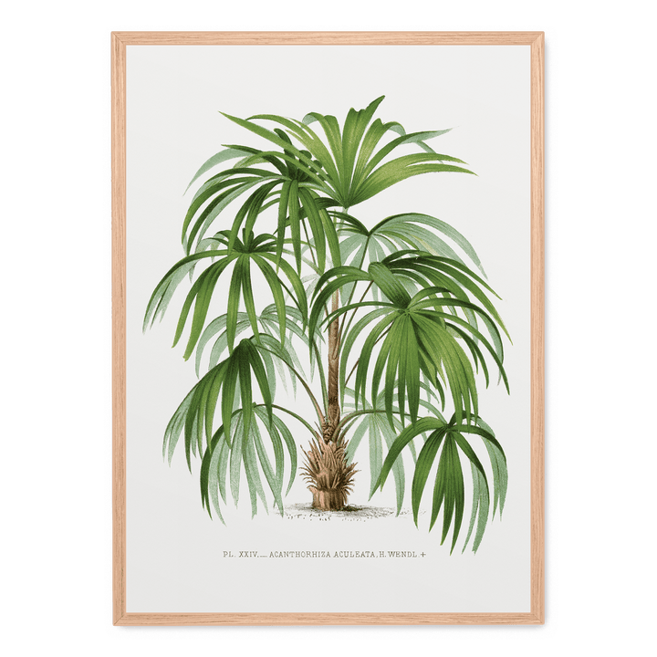 Vintage Palm Tree