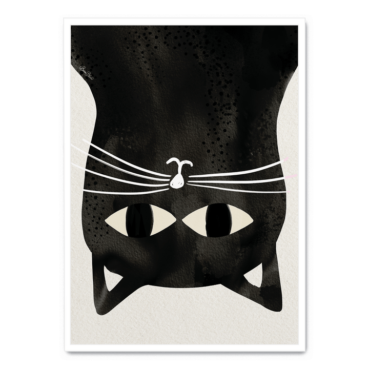 Black Cat Upside Down