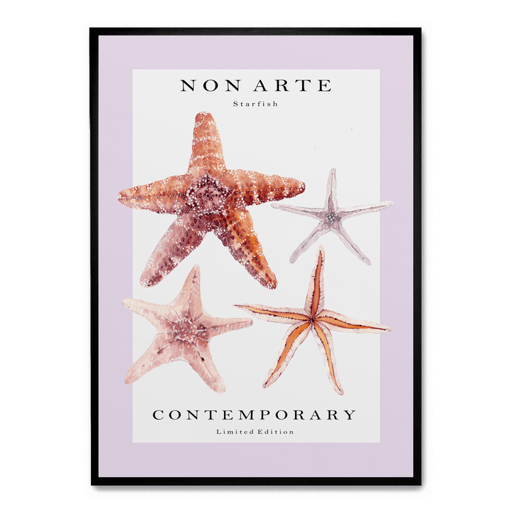 Non Arte Starfish
