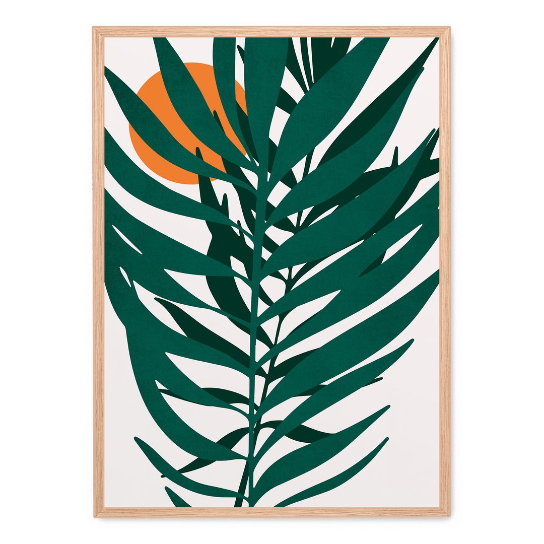 Little Miss Sunshine