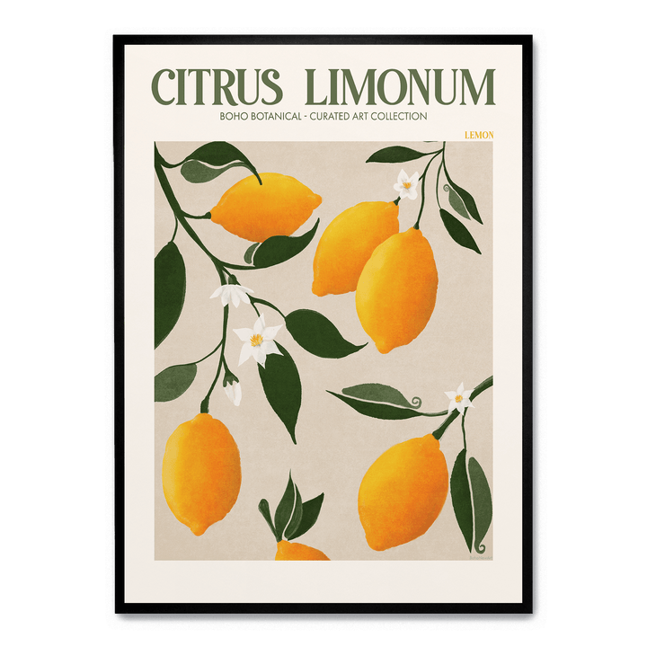 Citrus Limonum
