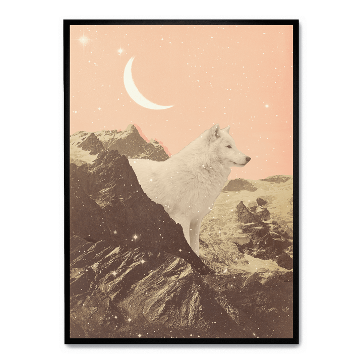 Giant White Wolf In Mountains