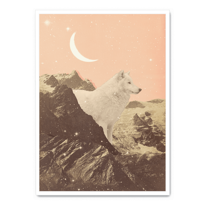 Giant White Wolf In Mountains