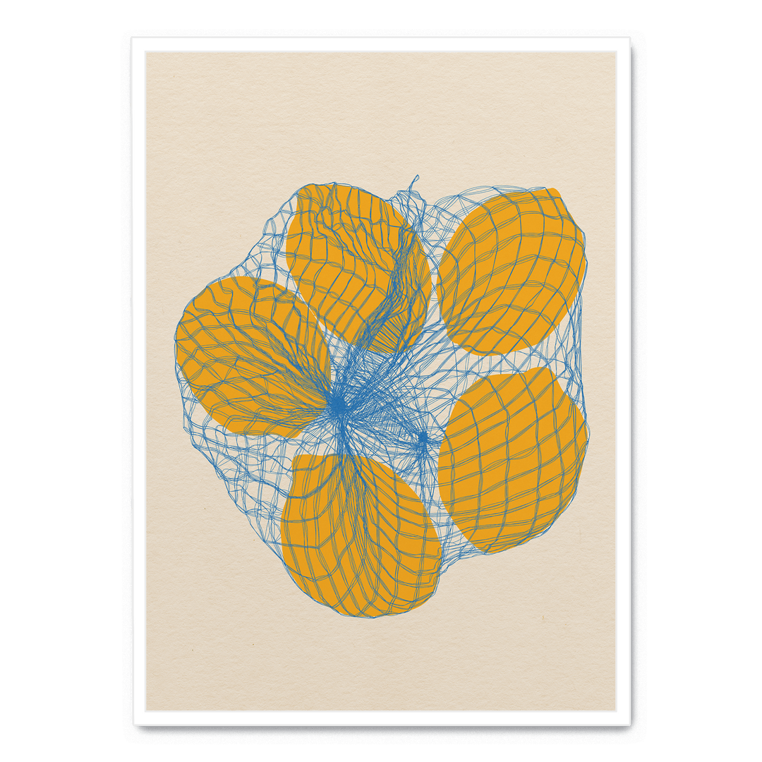 Five Lemons In A Net Bag