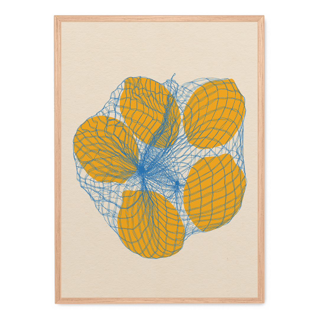 Five Lemons In A Net Bag
