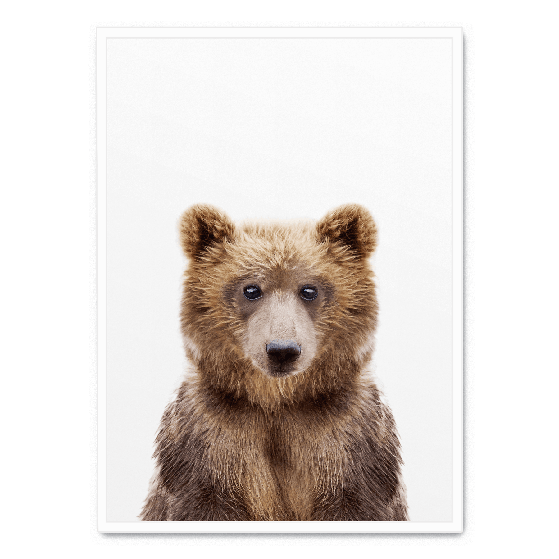Baby Bear affisch Postera
