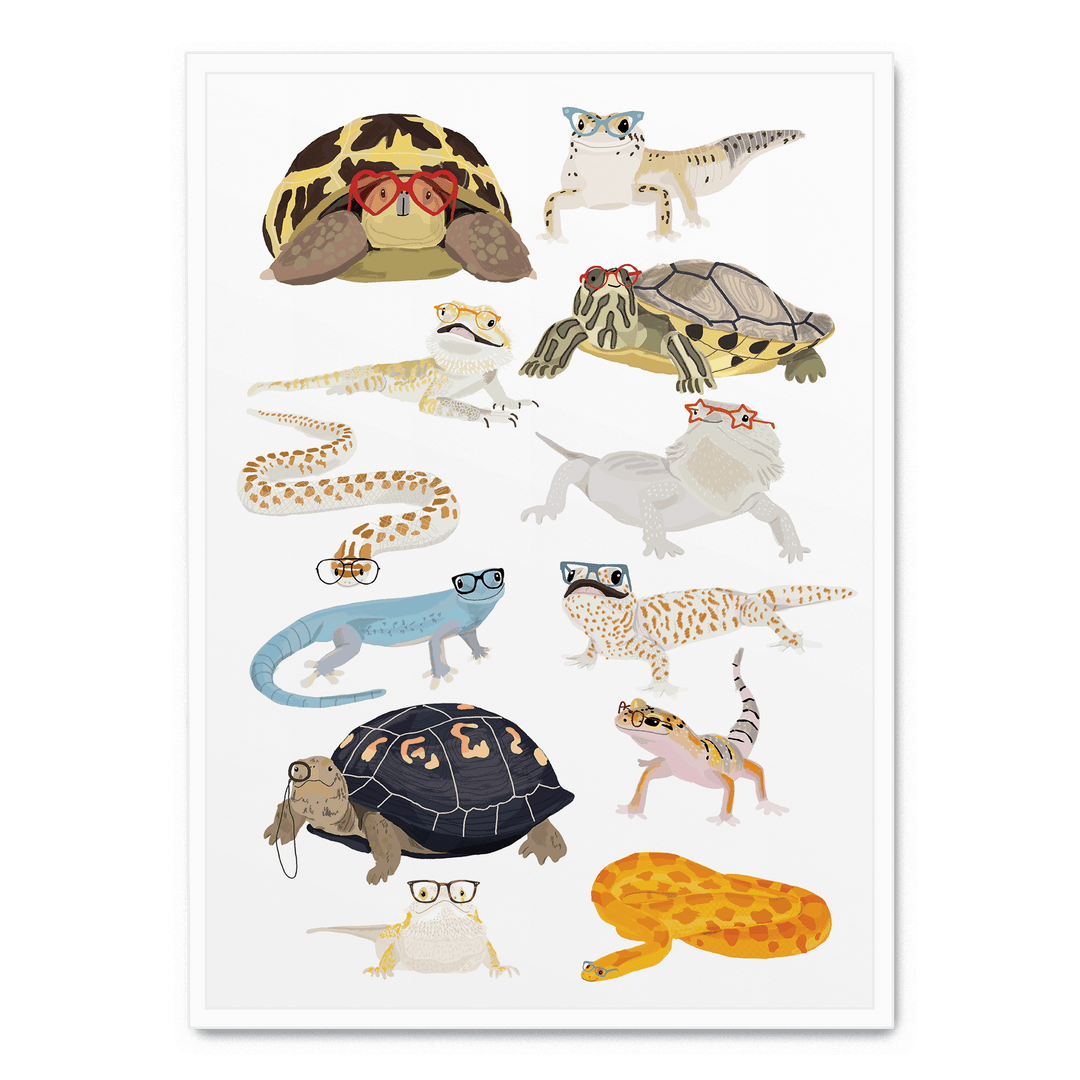 Reptiles In Glasses