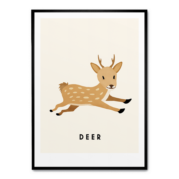 Little Deer